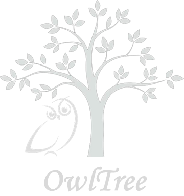 Owl Tree